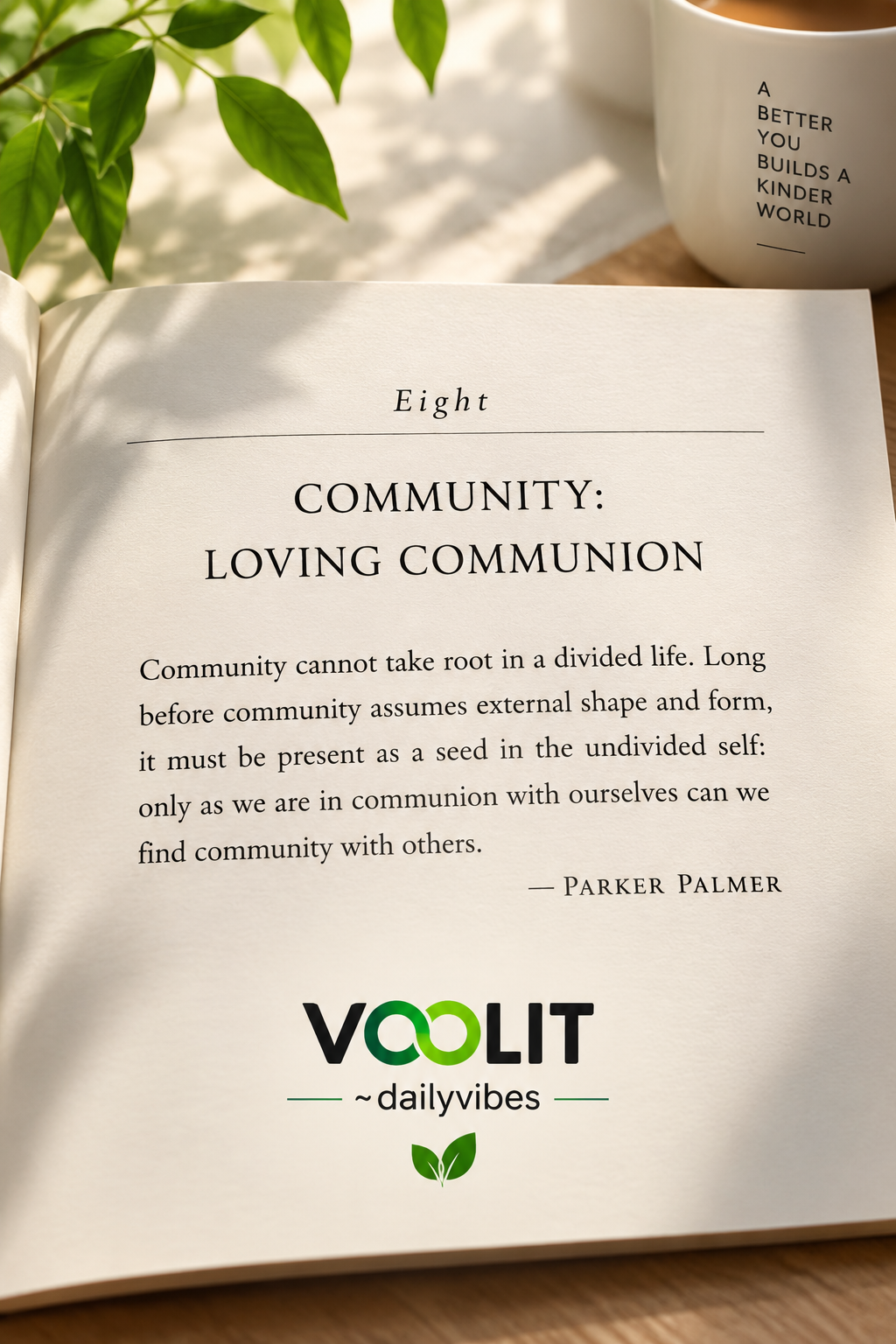 Voolit.com